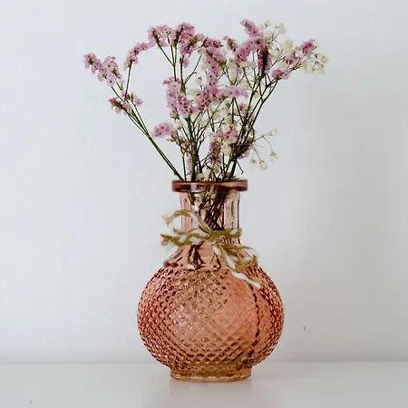 La Casa Dei Nonni 3*