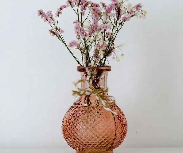 La Casa Dei Nonni 3*